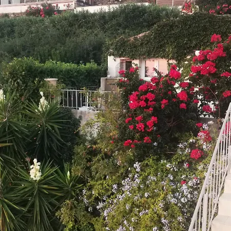 Guest house Patrizia Bastia (Corsica)
