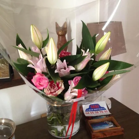 Patrizia バスティア