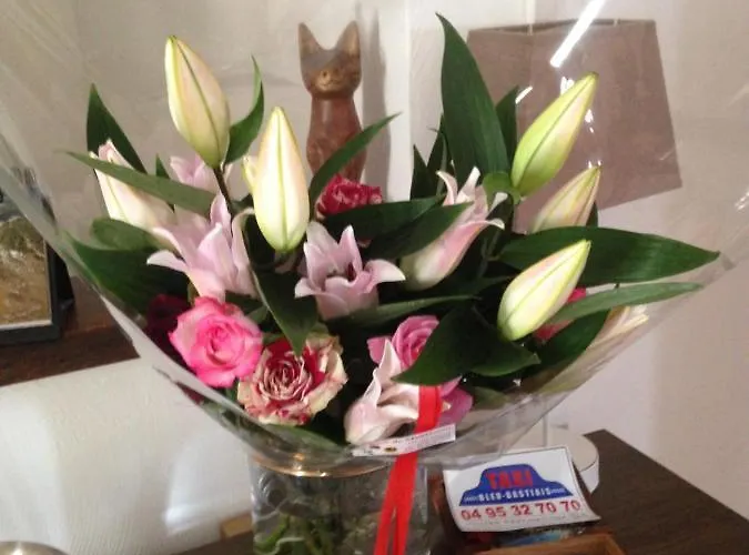 Patrizia Бастия